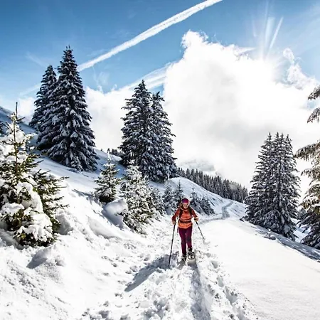 Joran Jr6 Mountain & Nature 4 Pers Châtel