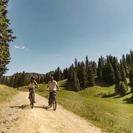 Joran Jr6 Mountain & Nature 4 Pers
